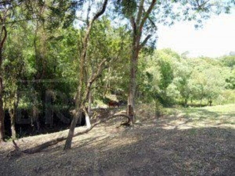 Chácara à venda com 1 quarto, 10324m² - Foto 3