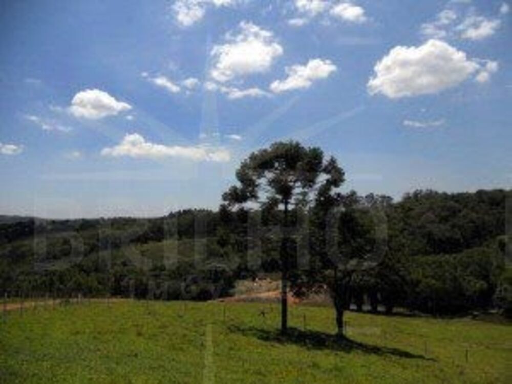 Chácara à venda com 1 quarto, 10324m² - Foto 2