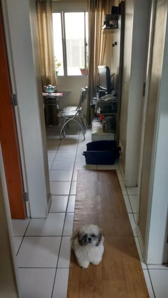 Apartamento, 2 quartos - Foto 6