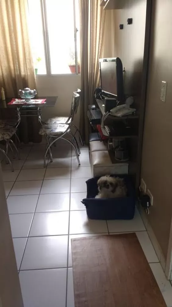 Apartamento, 2 quartos - Foto 7