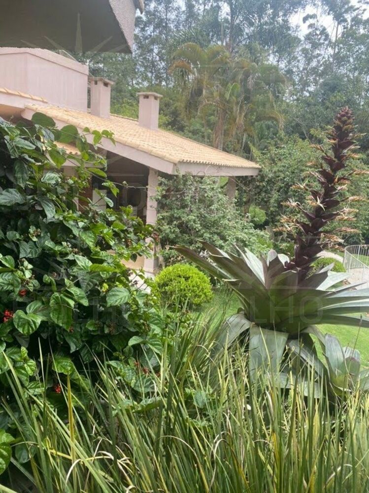 Chácara, 7 quartos - Foto 2