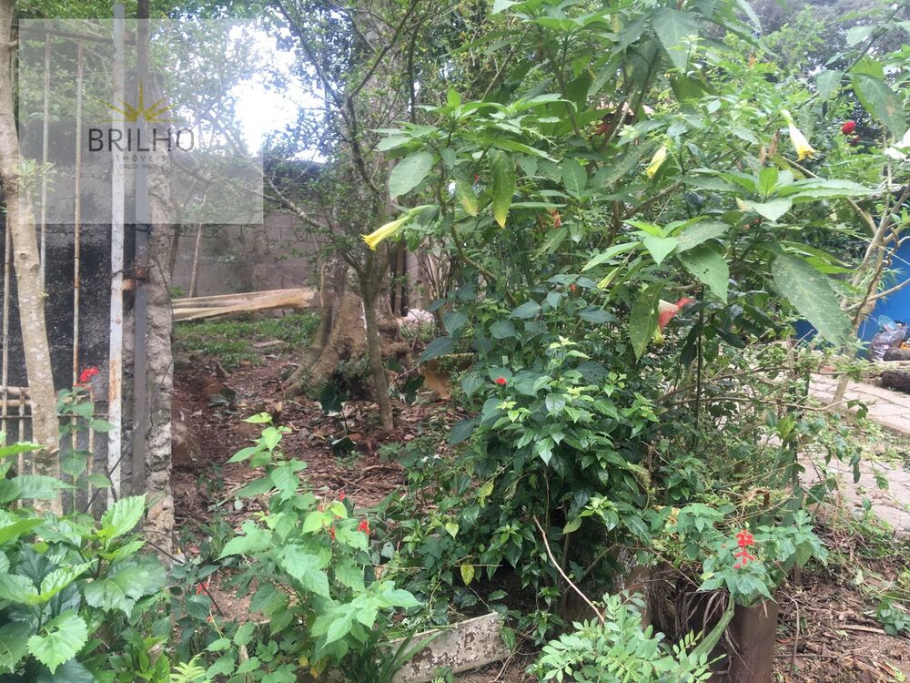 Chácara à venda com 3 quartos, 2000m² - Foto 5