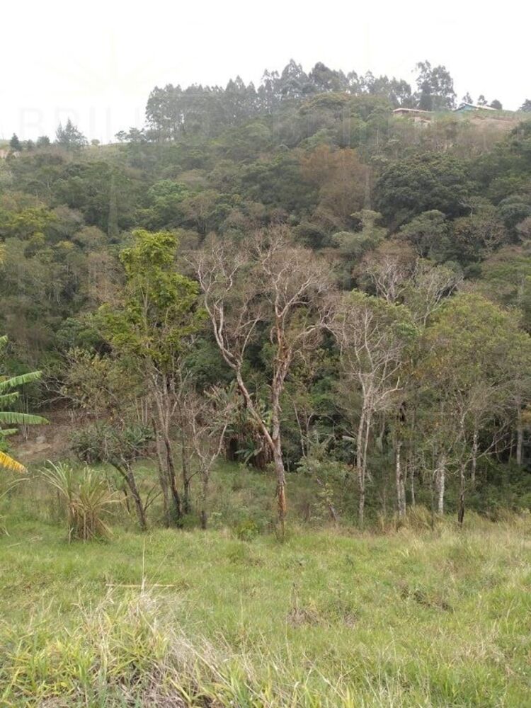 Chácara à venda com 1 quarto, 8300m² - Foto 4