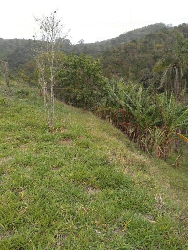 Chácara à venda com 1 quarto, 8300m² - Foto 2