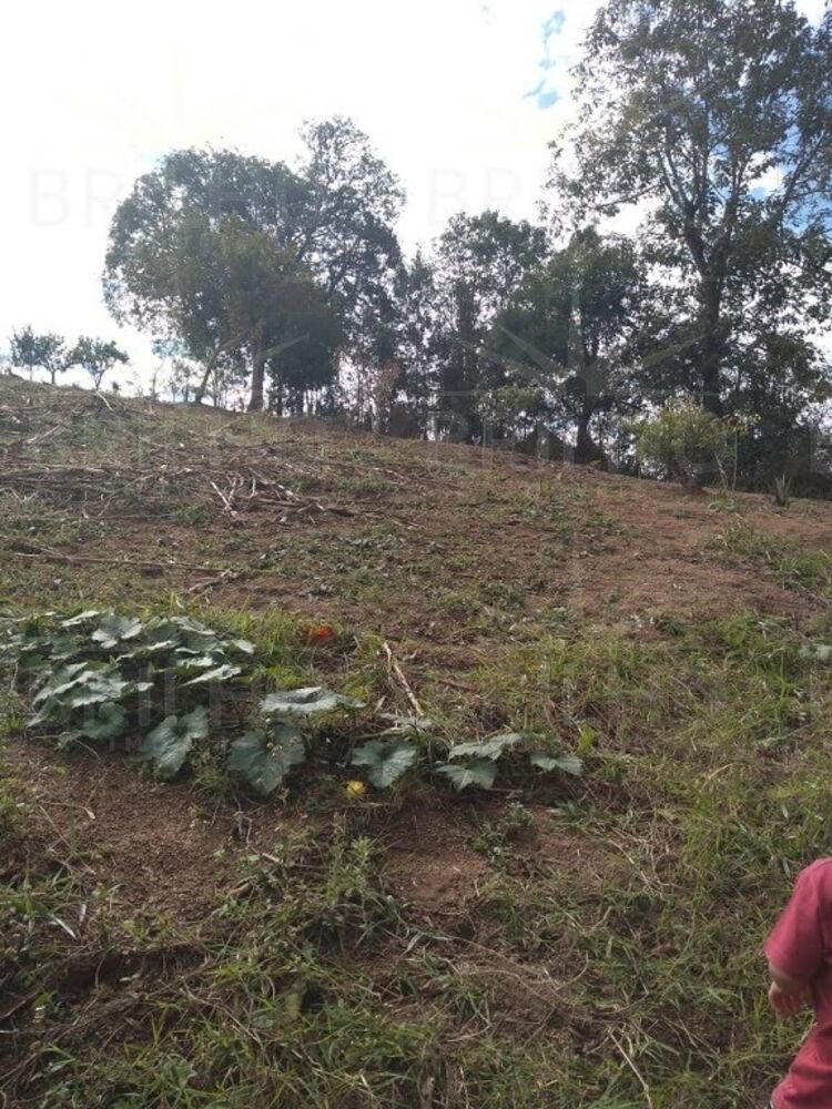 Chácara à venda com 1 quarto, 8300m² - Foto 16