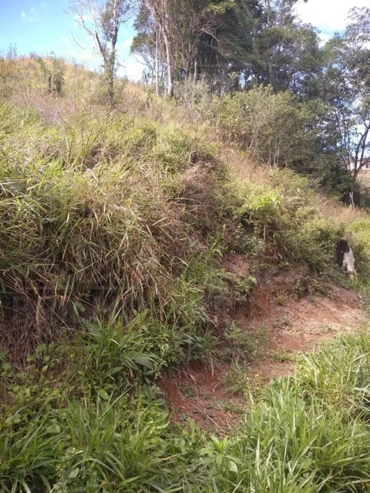 Chácara, 1 quarto - Foto 14