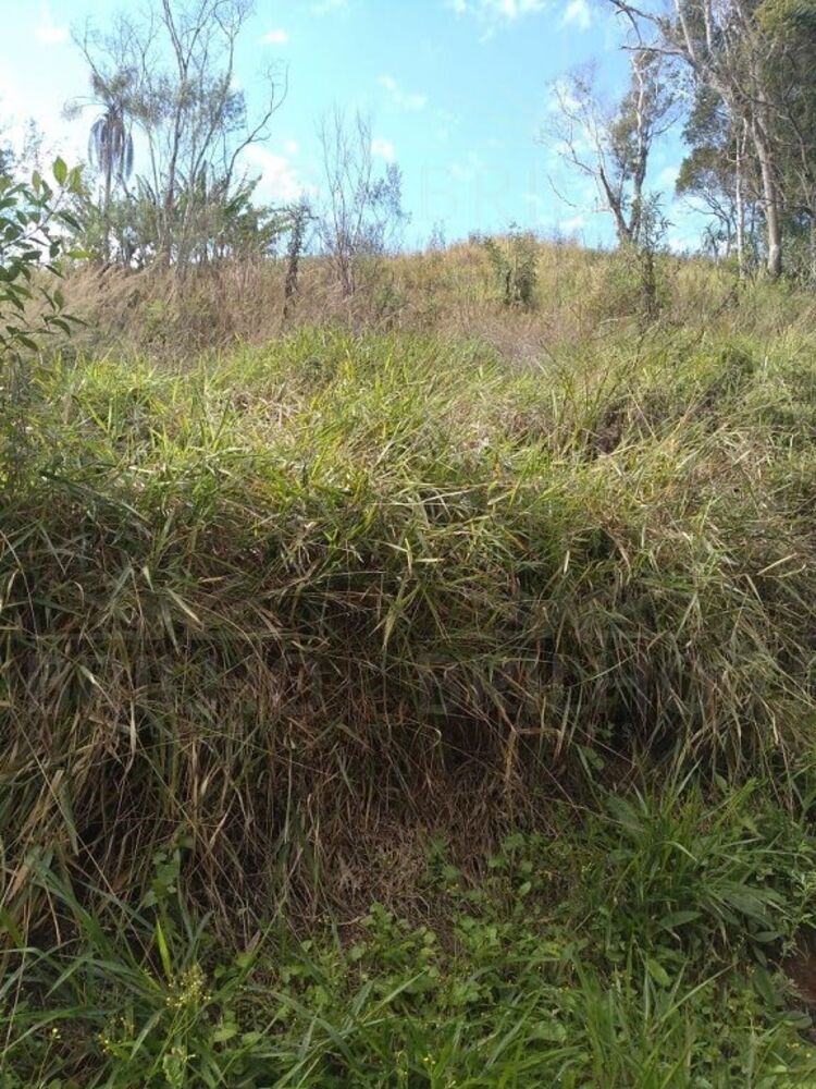 Chácara à venda com 1 quarto, 8300m² - Foto 11