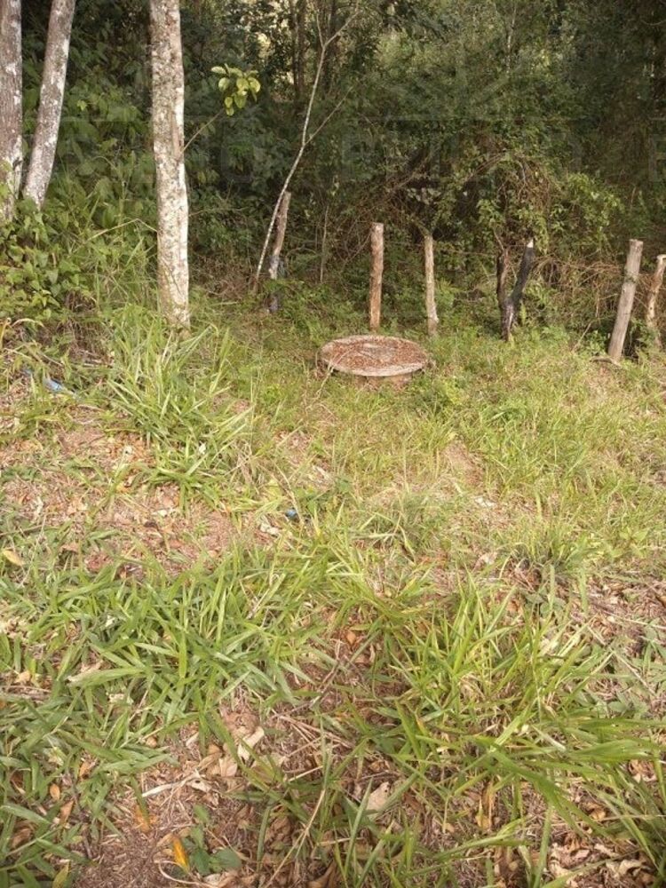Chácara à venda com 1 quarto, 8300m² - Foto 6