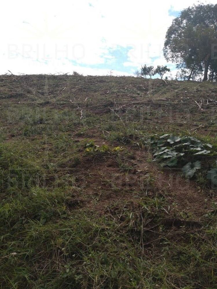 Chácara à venda com 1 quarto, 8300m² - Foto 10