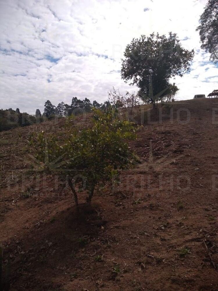 Chácara à venda com 1 quarto, 8300m² - Foto 12