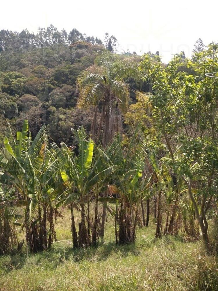 Chácara à venda com 1 quarto, 8300m² - Foto 5