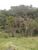 Chácara, 1 quarto - Foto 4