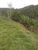 Chácara, 1 quarto - Foto 2
