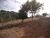 Chácara, 1 quarto - Foto 15