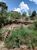 Terreno, 462 m² - Foto 3