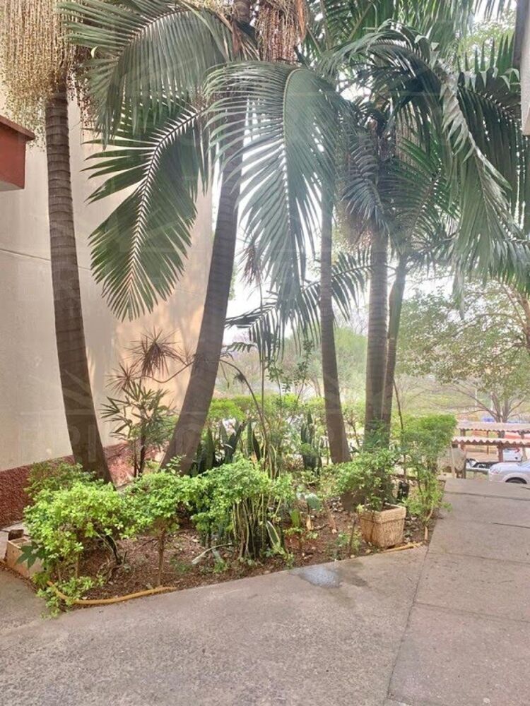 Apartamento para alugar com 2 quartos, 50m² - Foto 4