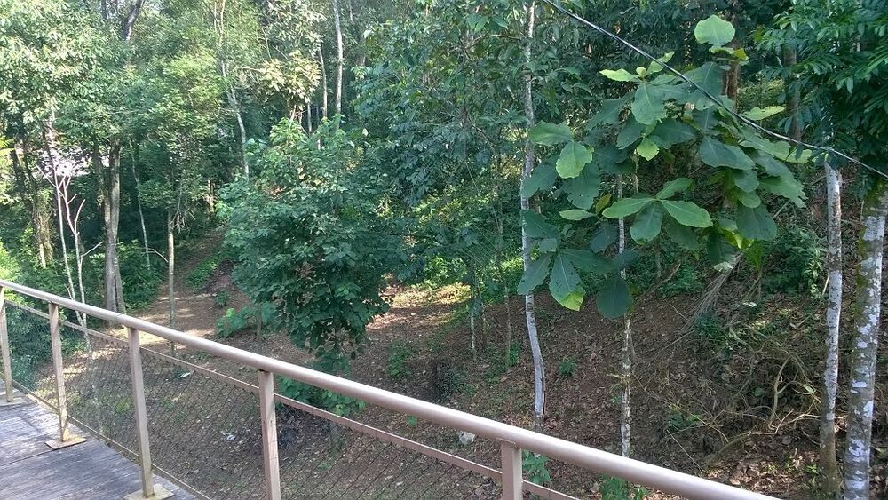 Chácara, 3 quartos, 1300 m² - Foto 4