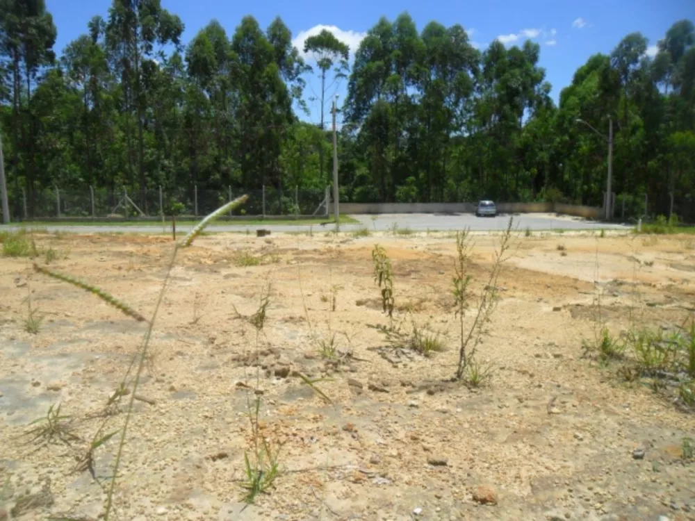 Terreno à venda, 504m² - Foto 3