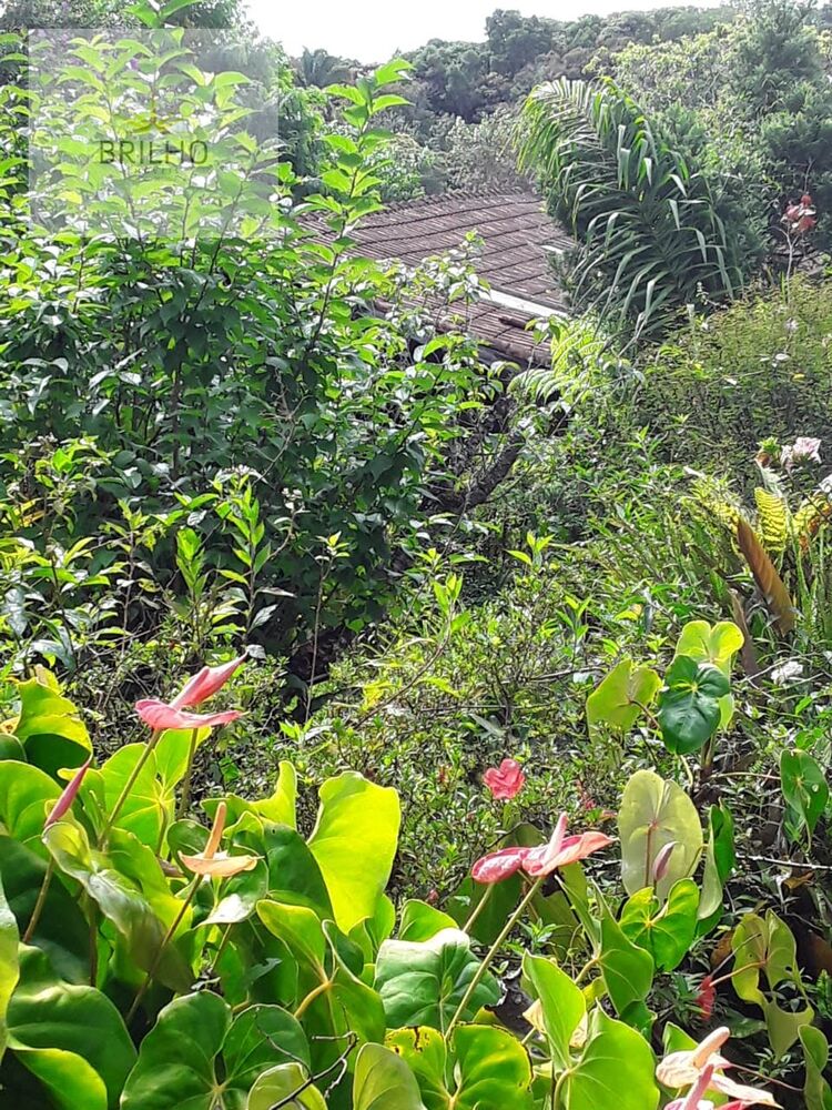 Sítio, 2 quartos, 2 hectares - Foto 7