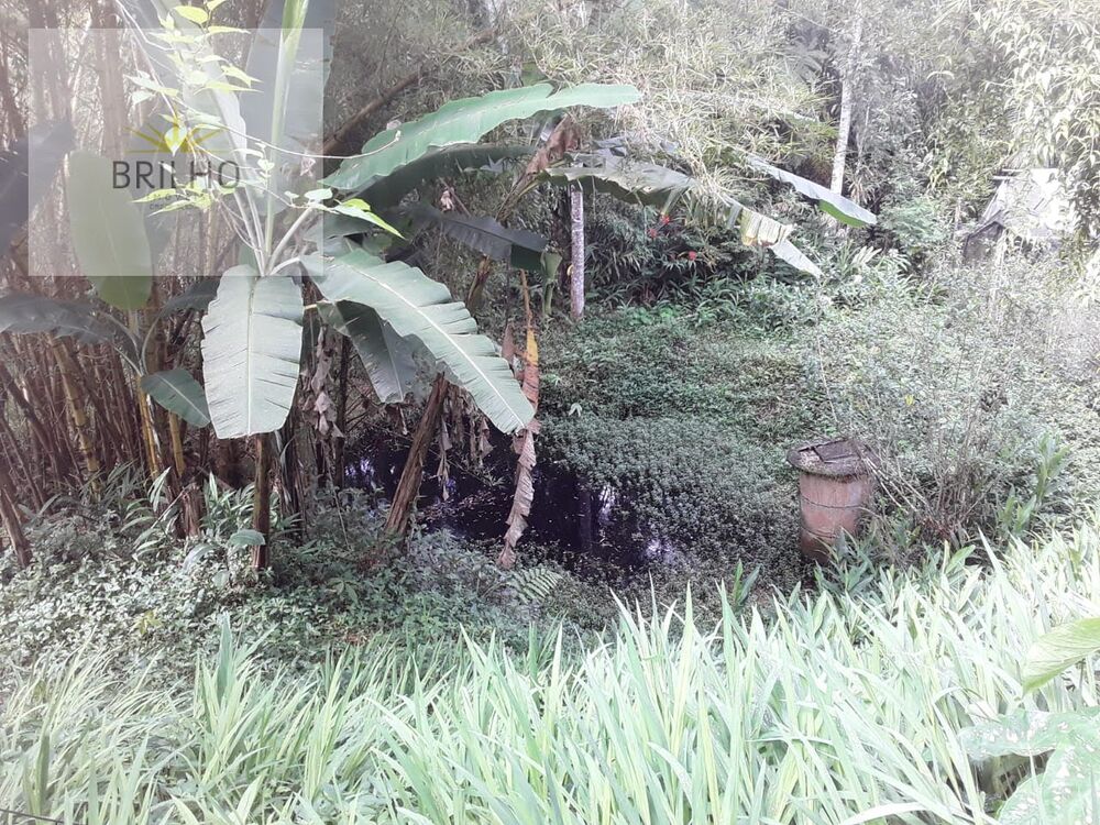 Sítio, 2 quartos, 2 hectares - Foto 11