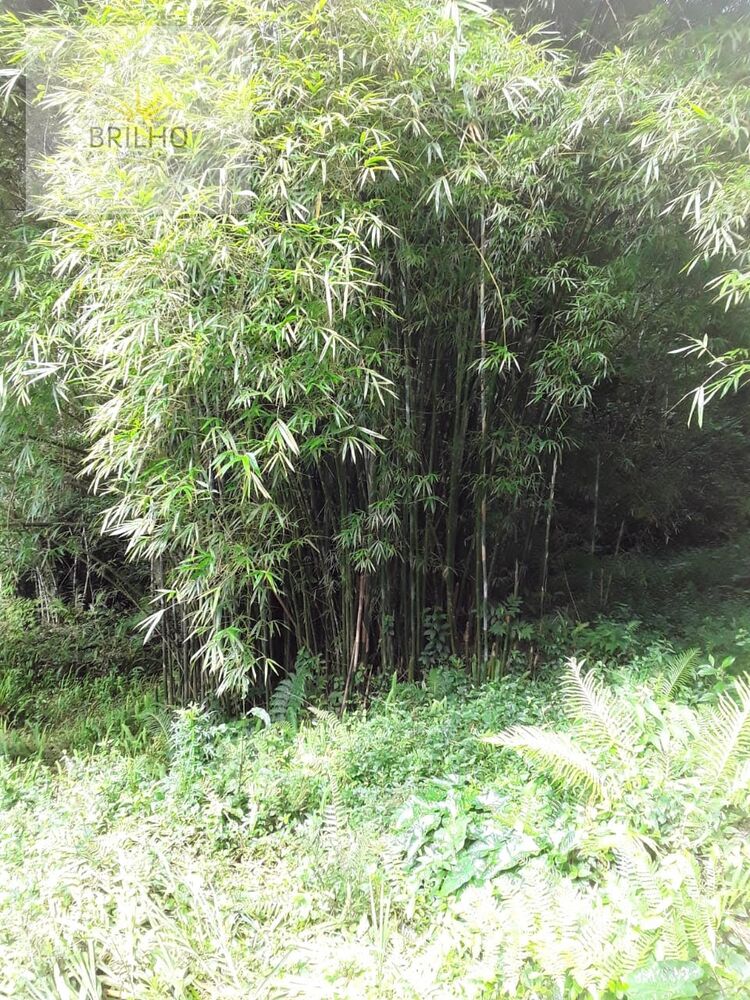 Sítio, 2 quartos, 2 hectares - Foto 10