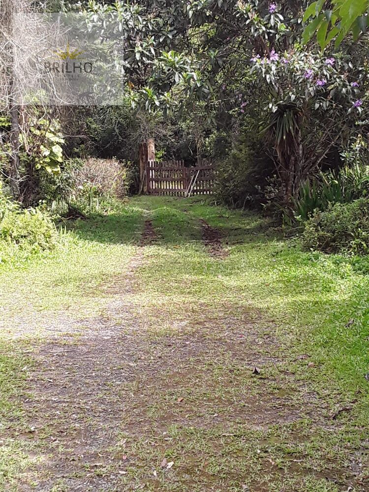 Sítio, 2 quartos, 2 hectares - Foto 5