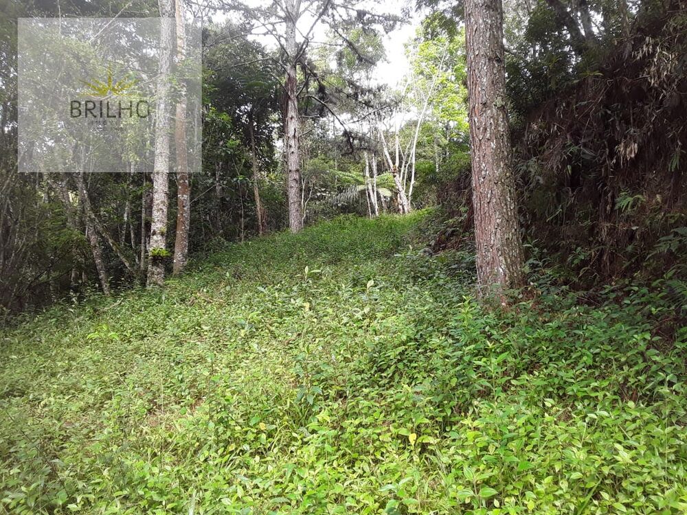 Sítio, 2 quartos, 2 hectares - Foto 9