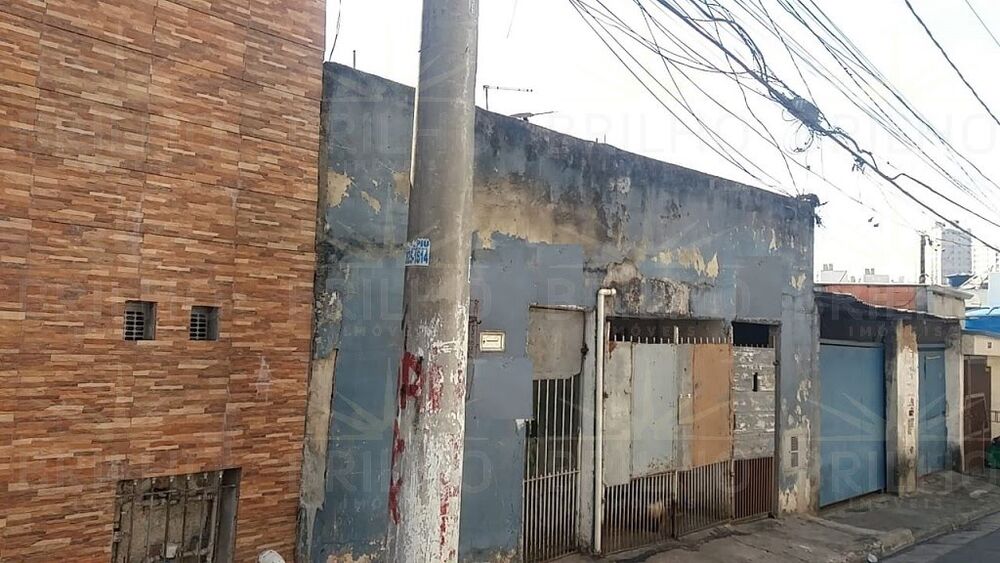 Casa, 4 quartos, 283 m² - Foto 3