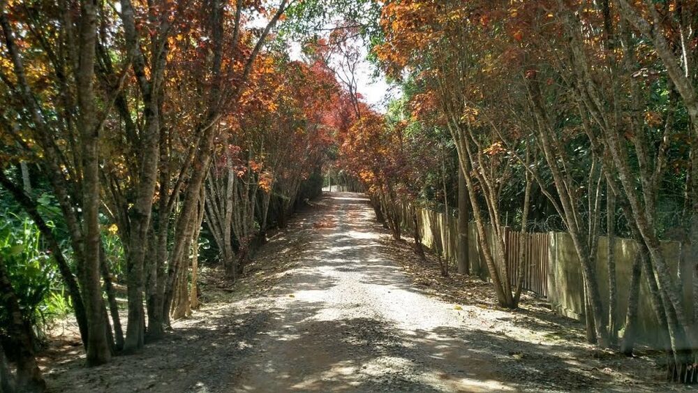 Terreno à venda, 1382m² - Foto 2