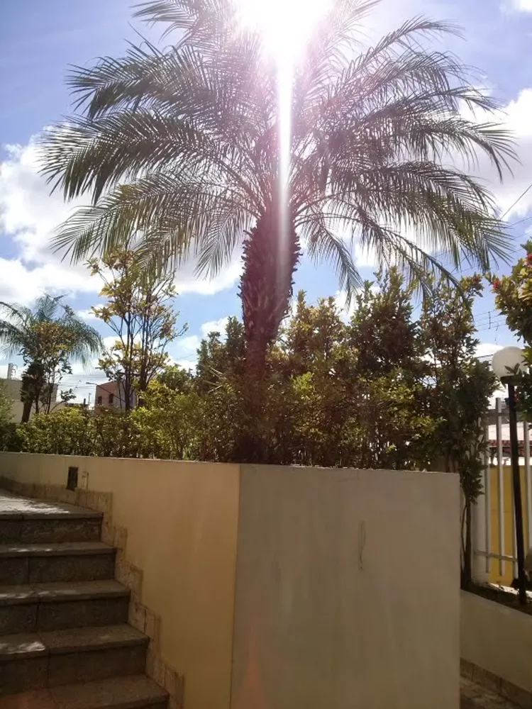 Apartamento, 3 quartos - Foto 4