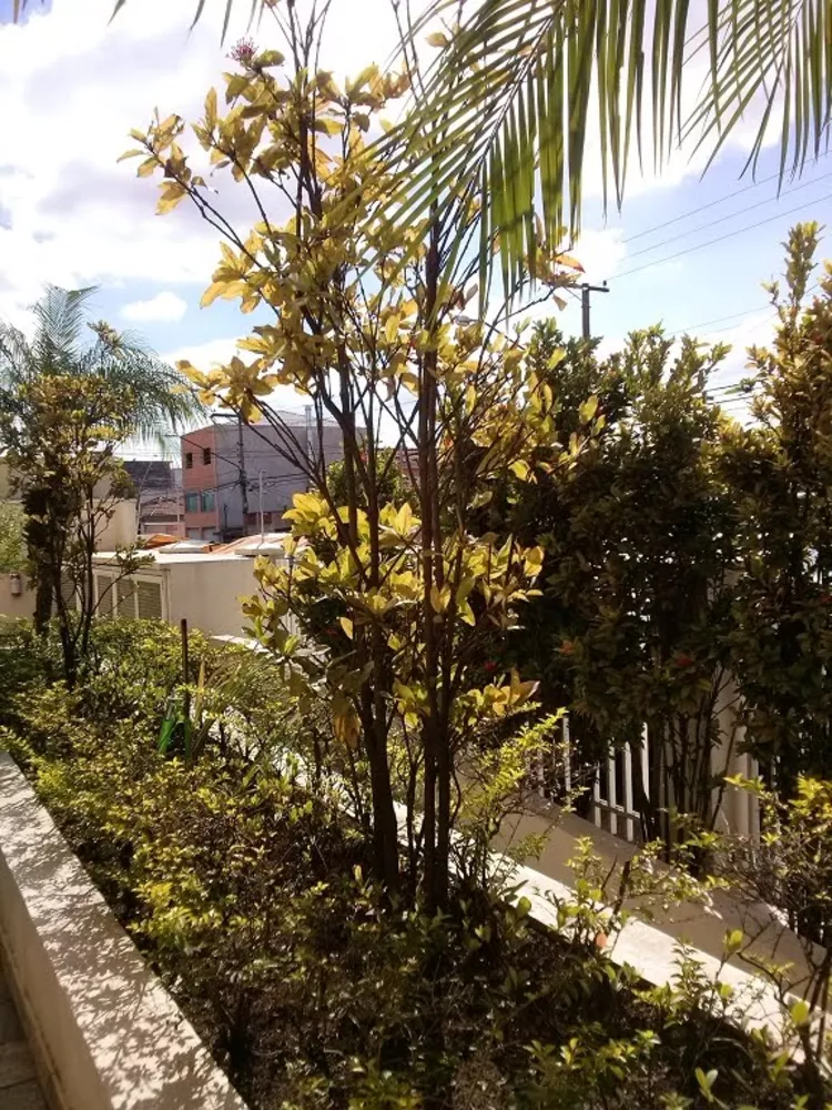 Apartamento, 3 quartos - Foto 7