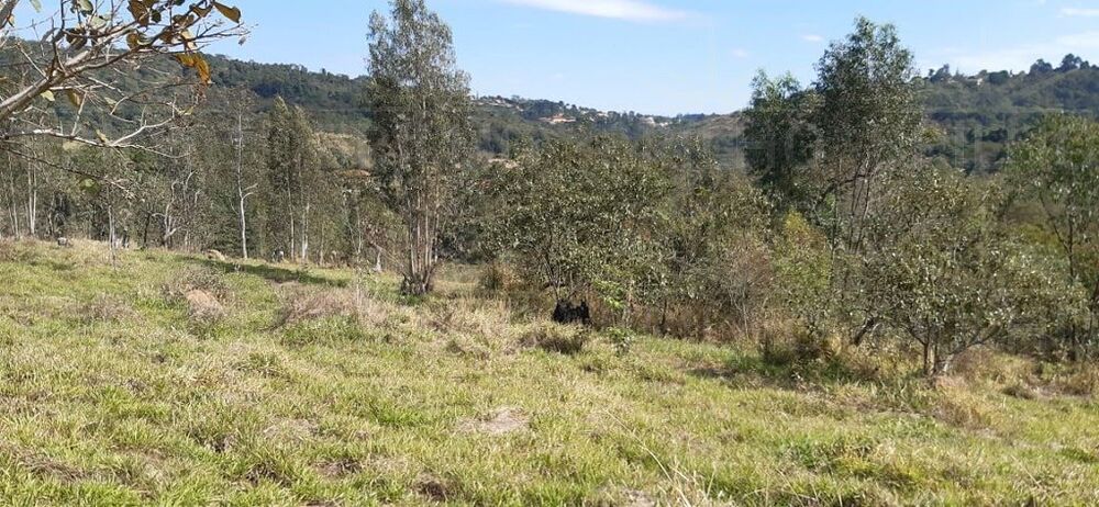 Terreno, 2511 m² - Foto 30