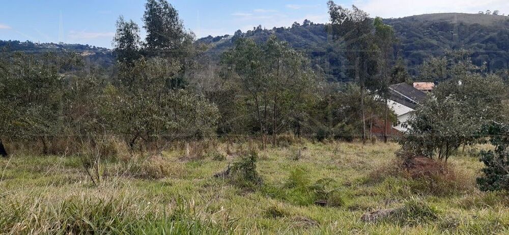 Terreno, 2511 m² - Foto 20