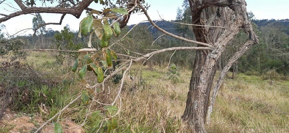 Terreno, 2511 m² - Foto 18