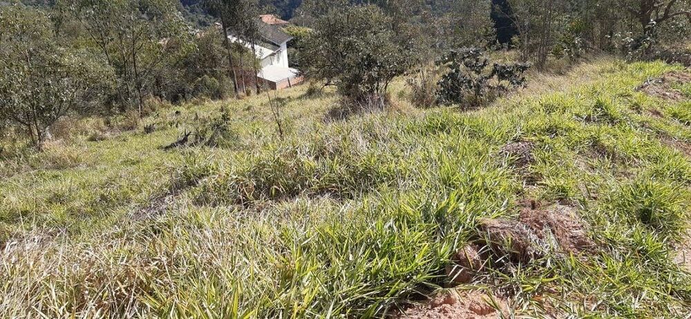 Terreno, 2511 m² - Foto 15