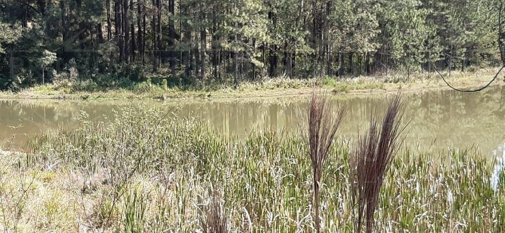 Terreno, 2511 m² - Foto 3