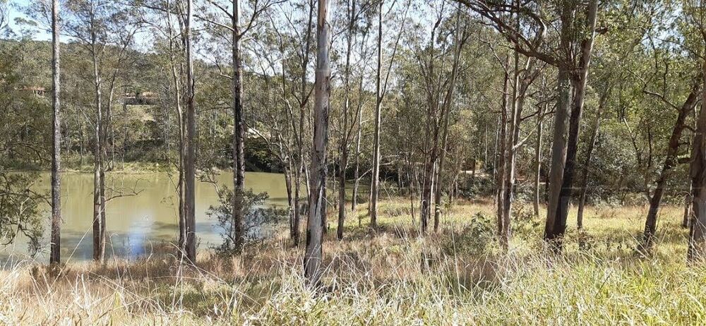 Terreno, 2511 m² - Foto 6