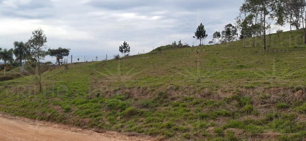 Terreno, 2511 m² - Foto 8