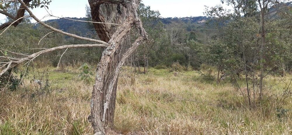 Terreno, 2511 m² - Foto 7