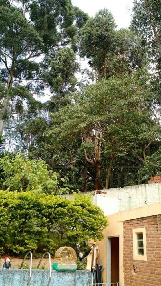 Chácara, 3 quartos - Foto 2