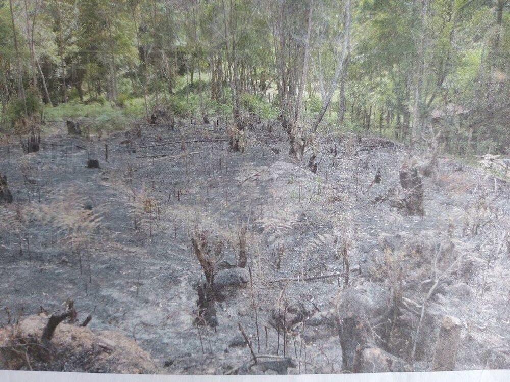 Terreno, 4180 m² - Foto 3