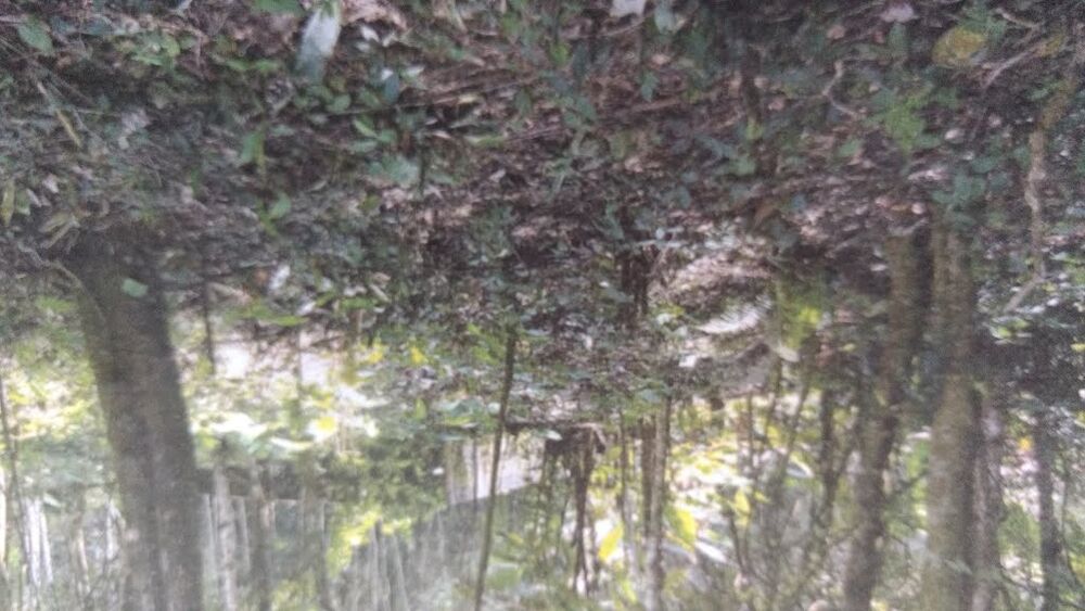 Terreno, 4180 m² - Foto 1