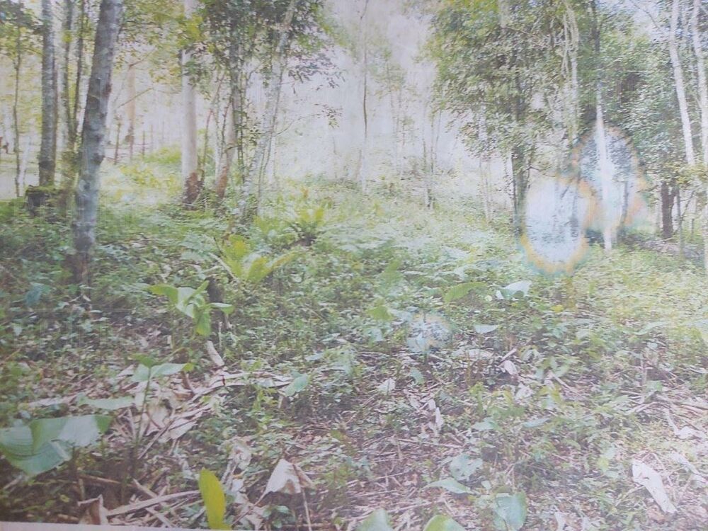 Terreno, 4180 m² - Foto 2