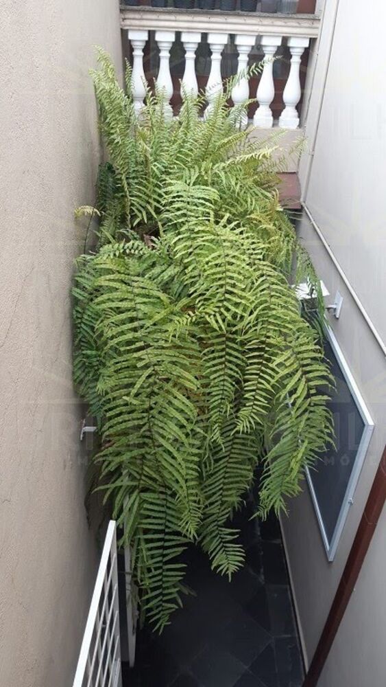 Casa, 2 quartos, 209 m² - Foto 12