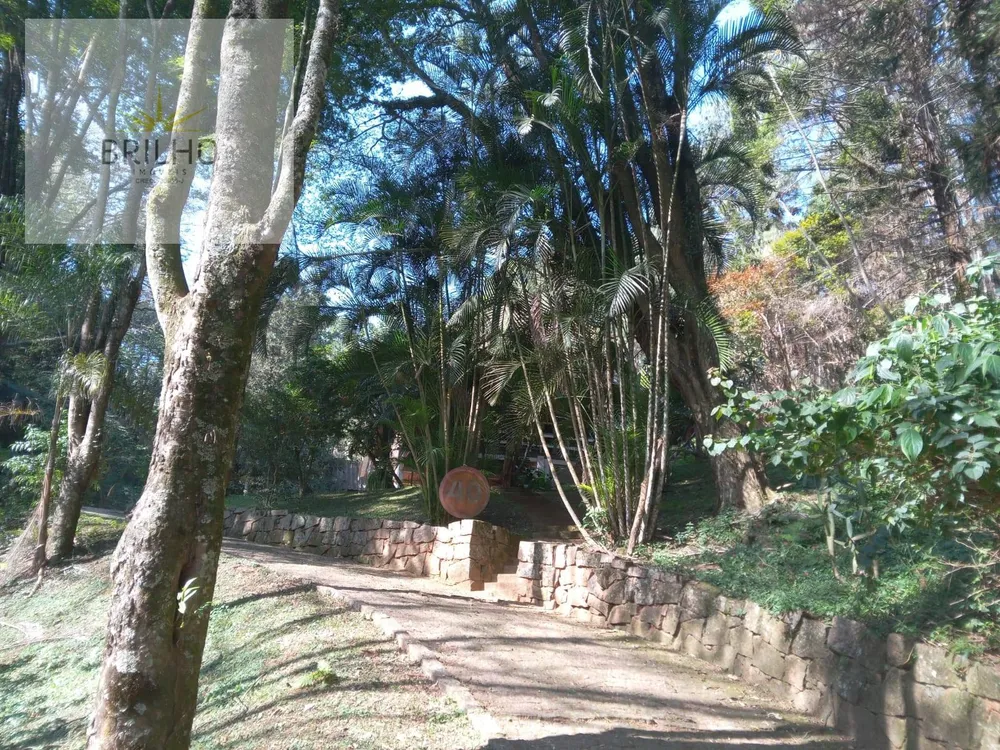 Sítio, 10 hectares - Foto 8