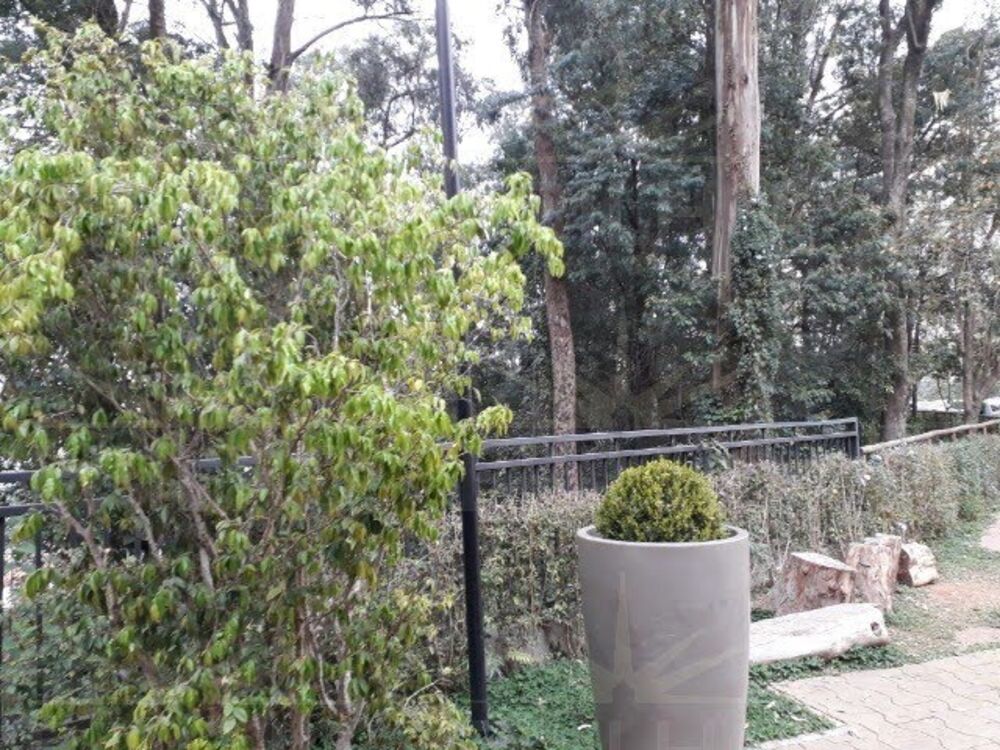 Apartamento, 2 quartos, 62 m² - Foto 4