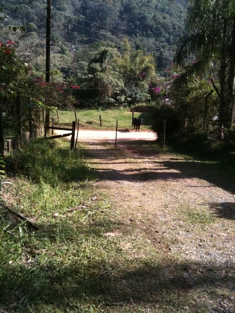 Chácara à venda com 2 quartos, 3000m² - Foto 2