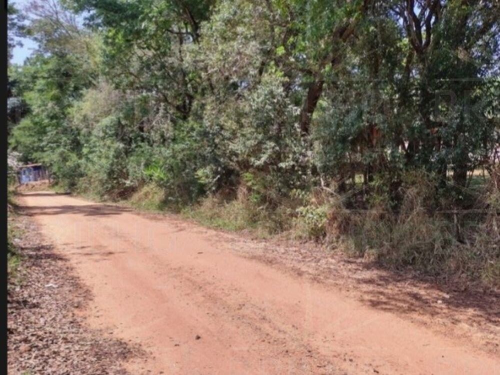 Chácara, 2 quartos - Foto 30