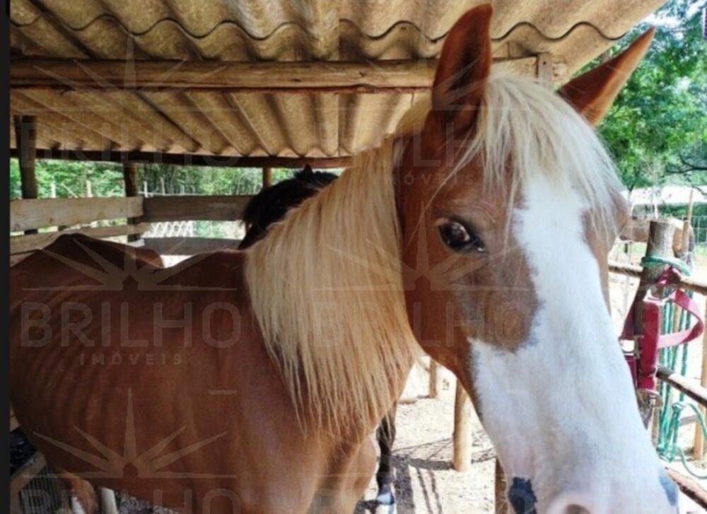 Chácara, 2 quartos - Foto 24