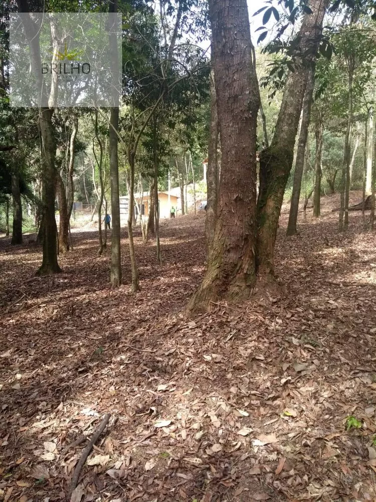 Sítio, 900 m² - Foto 4